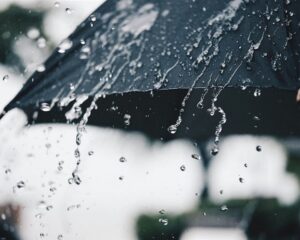 IMG 12082026 190037 720 x 576 pixel