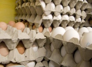 شناسایی کارگاه غیر مجاز بسته بندی تخم مرغ