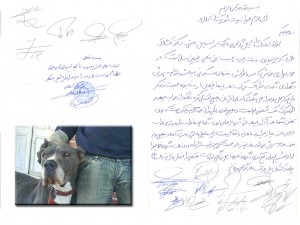 نگهداری سگ در منطقه مسکونی  ملارد با عدم رسیدگی مسئولین مربوطه مواجه شد .