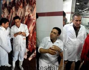 اجرای طرح ساماندهی توزیع گوشت قرمز در شهرستان شهریار