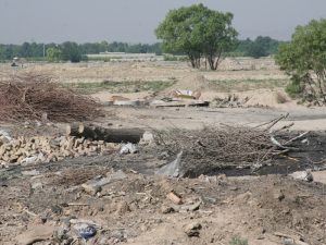 تخریب 42 کارگاه غیر مجاز تولید ذغال در ملارد