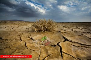این تکنولوژی ایران را از خشکسالی نجات می دهد