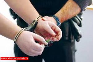 دستگیری 159 سارق / کشف 332 فقره انواع سرقت در شهرستان بهارستان