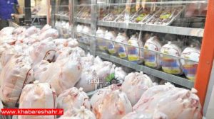 ورود سازمان حمایت به گرانی مرغ؛ قیمت ۱۰۸۰۰