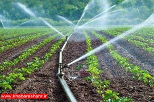 اجرای آبیاری نوین در ۳۰۰ هکتار از اراضی کشاورزی شهرستان ملارد