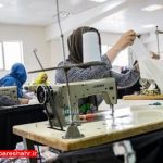 شهرداری ملارد هیچ سگی را اتلاف ننموده است