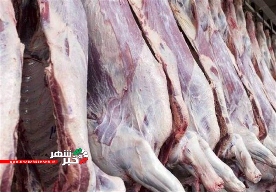 بیش از ۷ هزار تن گوشت قرمز منجمد وارد کشور شد