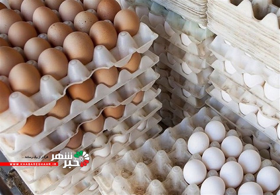 صادرات تخم‌مرغ ترکیه به سوریه و کویت پس از ممنوعیت عراق