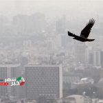 2796816 Copy