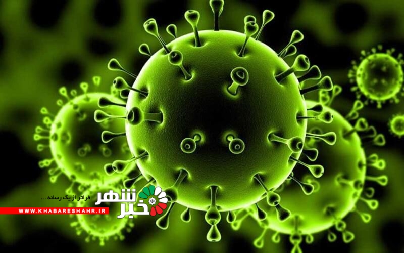 0 156997639 watermark Mon 07092020 112733