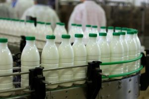 تایید آلودگی میکروبی نمونه شیر یک برند معروف از سوی سازمان استاندارد