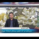 خبرشهر محمدی new1