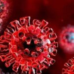 کرونای جدید