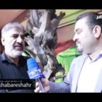 خبرشهر نمایش مذهبی new(1)