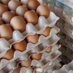 تخم مرغ