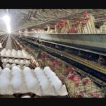 img 19022023 231204 (720 x 576 pixel)