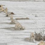 screenshot 20230206 131005 chrome