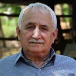 کاشف برنج هاشمی