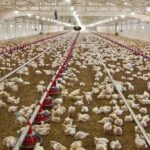 14020129000995 test photon