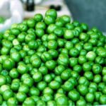 گوجه سبز new(1)