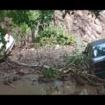 خودرو سیل new(1)