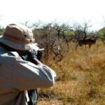 شکار غیرمجاز