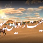 خبرشهر نینوا