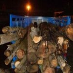 img 09092023 233730 (720 x 576 pixel)