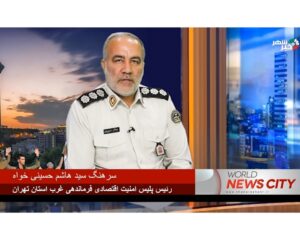 سرهنگ حسینی خواه/ تشریح وظایف پلیس مفاسد اقتصادی در ویژه برنامه هفته انتظامی
