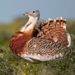 img 17012024 201128 (720 x 576 pixel)