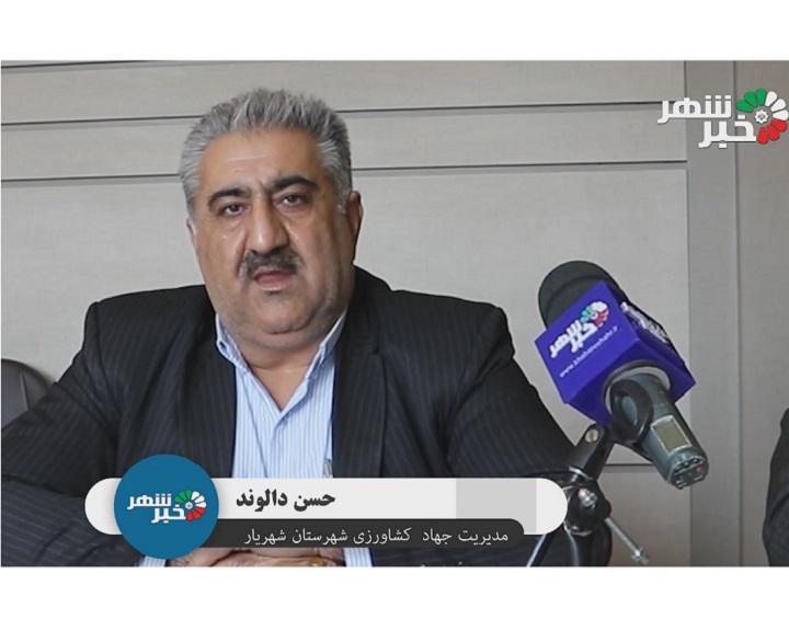 خبرشهر دالوند