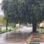 img 20240319 173811 131