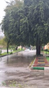 گزارش تصویری از آغاز بارش باران در دزفول