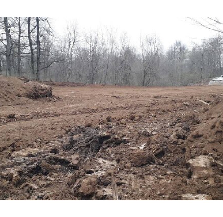 img 01042024 121650 (720 x 700 pixel)