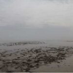 تالاب جازموریان