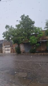 گزارش تصویری از آغاز بارش باران بهاری در دزفول