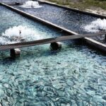 img 10062024 212918 (720 x 700 pixel)