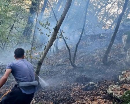 ۳۰۰ هکتار از پارک ملی گلستان در آتش سوخت img 02062025 203445 (720 x 576 pixel)