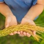 img 02082025 163152 (720 x 576 pixel)