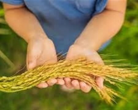 img 02082025 163152 (720 x 576 pixel)