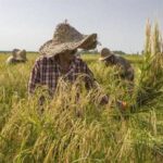 img 11082025 195048 (600 x 450 pixel)