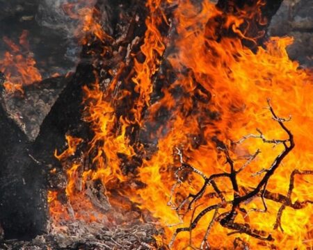 img 23082025 141813 (720 x 576 pixel)