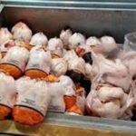 img 23082025 173545 (720 x 576 pixel)