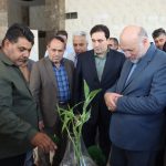 photo ۲۰۲۵ ۰۸ ۳۱ ۱۲ ۱۱ ۰۱