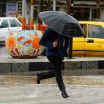 توزیع واکسن آنفلوانزا در داروخانهها/ واکسن برای این گروهها رایگان است 1402012511042260827391484