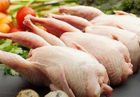 1404061116180088833885554