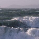 img 12092025 195316 (720 x 576 pixel)