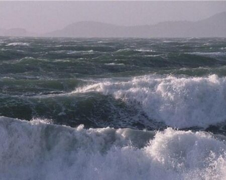 img 12092025 195316 (720 x 576 pixel)