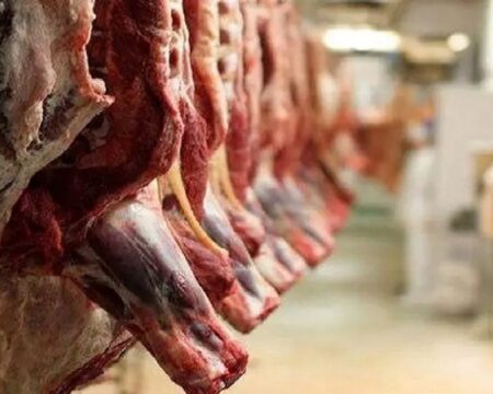 img 17092025 170408 (720 x 576 pixel)