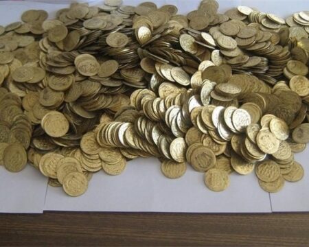 img 17092025 192928 (720 x 576 pixel)